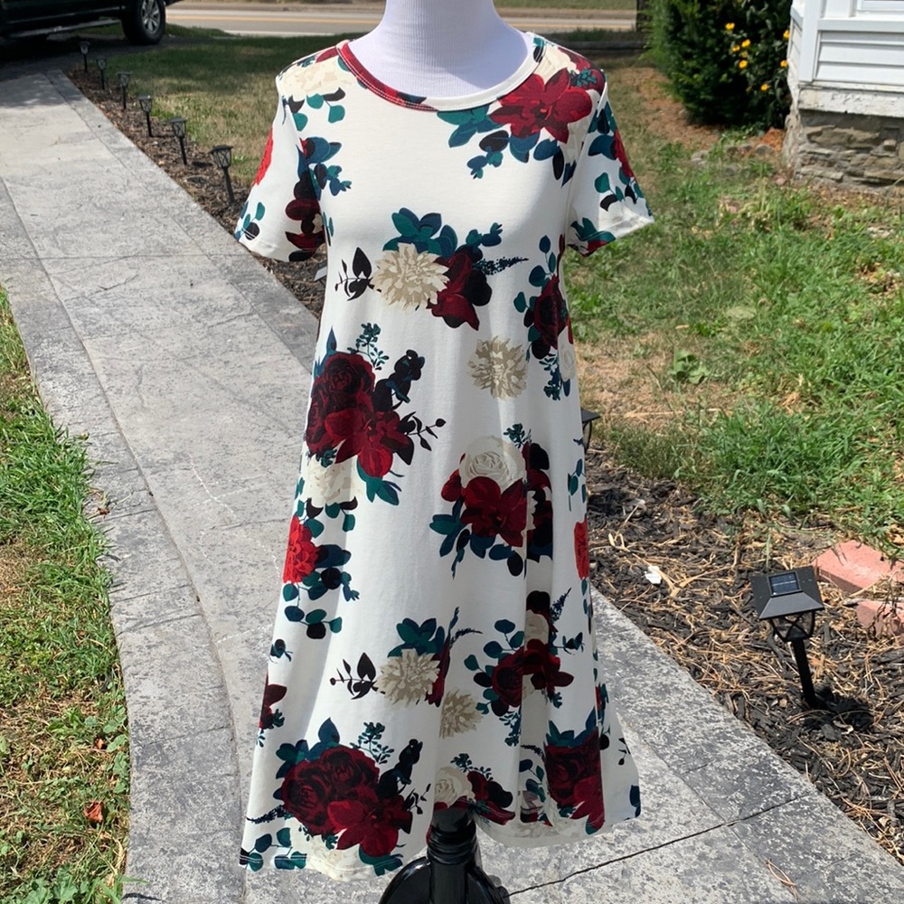 LuLaRoe Carly Dress